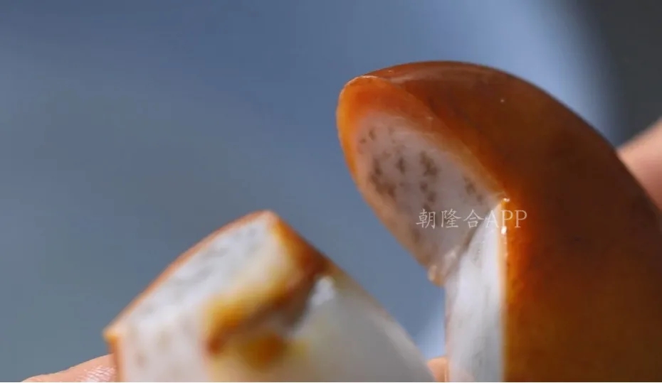 紅皮白肉：天使面孔，魔鬼心！